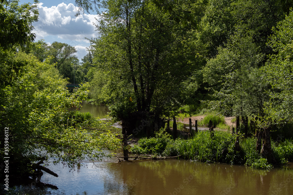 Bend of a calm river on a sunny, warm day