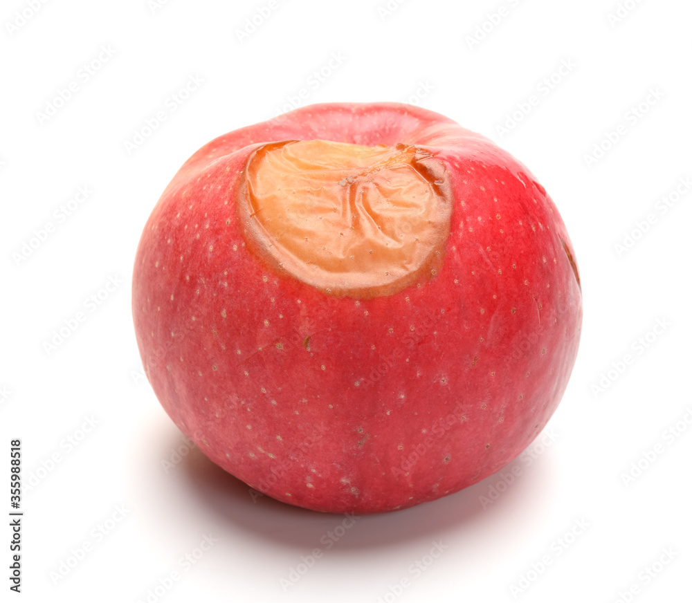 Fototapeta premium side view rotten apple on a white background