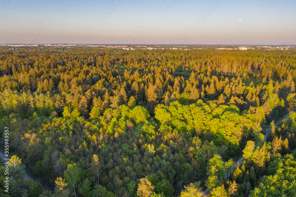 Aerial photo of pine forest in the sorroundigs of Munich, south germany