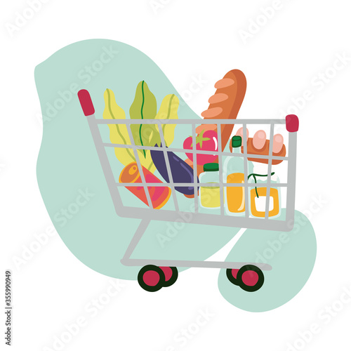 groceries in shopping cart block style
