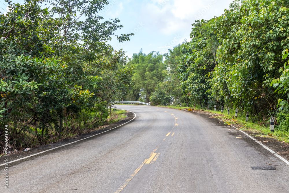 curved winding road in the forest