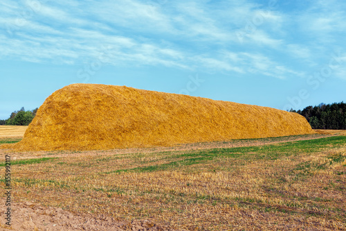 haystacks with straw