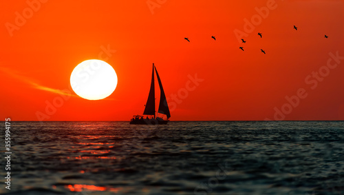 Sailboat Sunset Sailing Birds