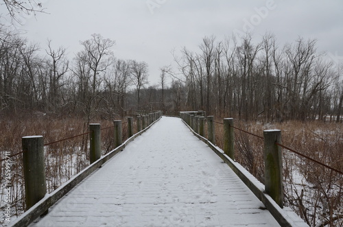 wooden bridge, path, or trail with snow and trees © Justin