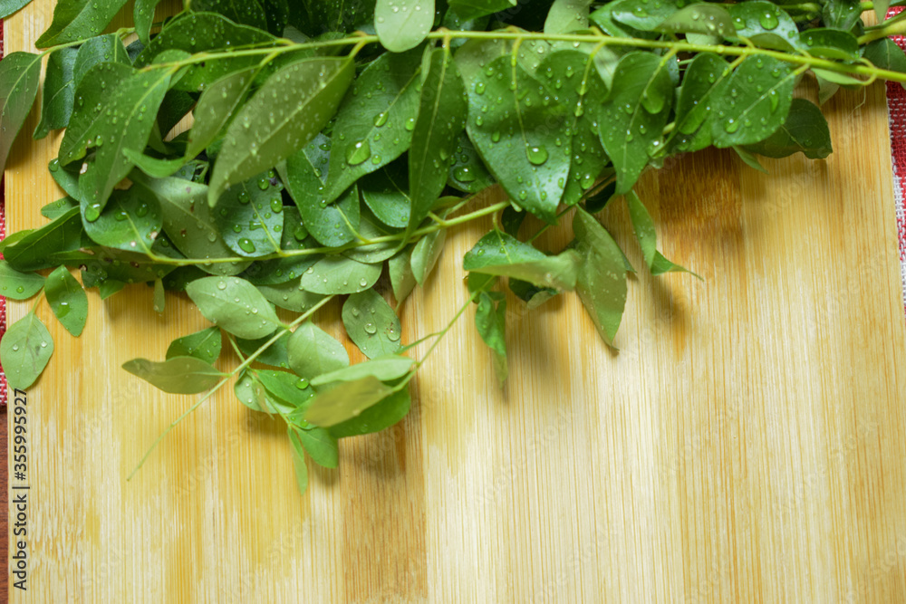 Bunch of Fresh Indian Curry Leaves / Curry Leaf on Wooden Background Bunch of Fresh Indian Curry Leaves / Curry Leaf on Wooden Background