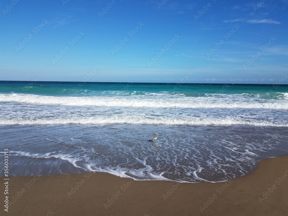 ocean water with waves at beach or coast