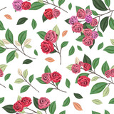 Seamless pattern with rosesl concept in the  white backdrop