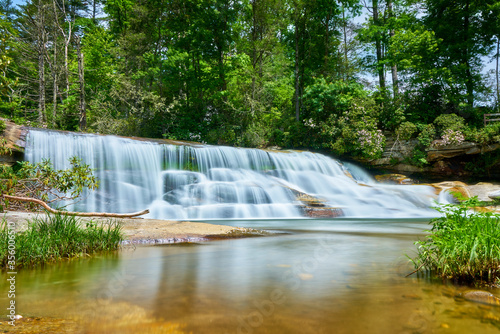 Hidden Garden in the Falls