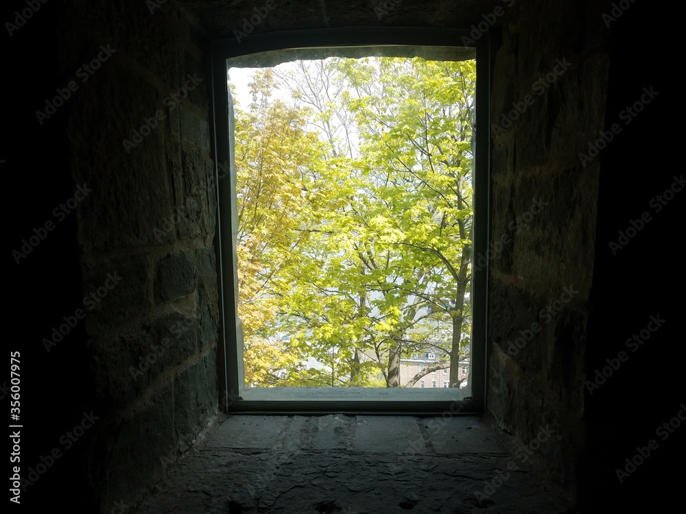 Fototapeta view of green leaves and branches from window inside stone building