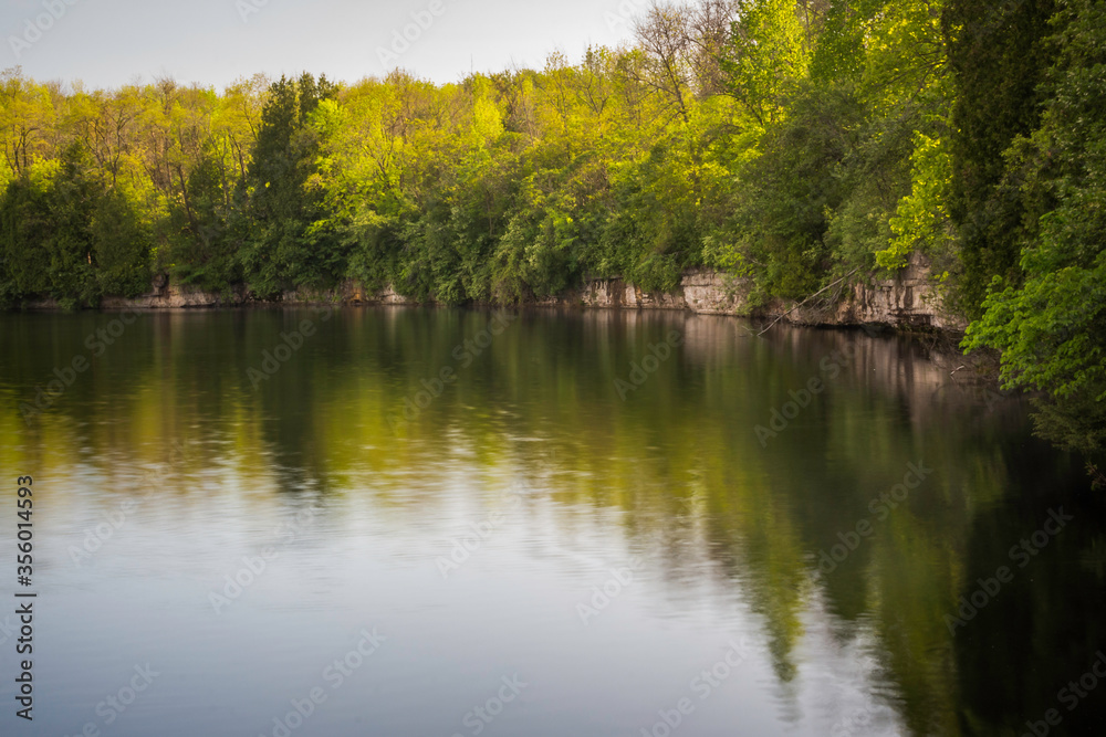 Autumn Forest Surrounding a Pond