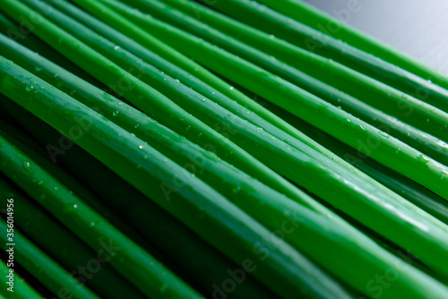 Fresh green onions with water drops close-up. Macro image of the bow feathers  soft focus. Benefits of organic products.