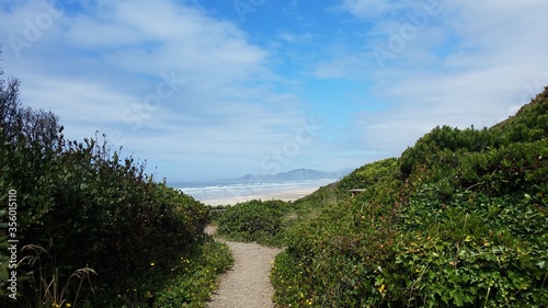 trail or path leading to beach with sand and waves © Justin