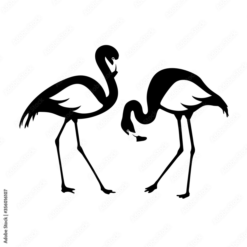 Naklejka premium Wektor na białym tle para flamingów. Czarno-biała ilustracja