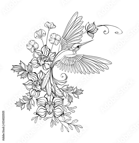 Contour hummingbird with orchids