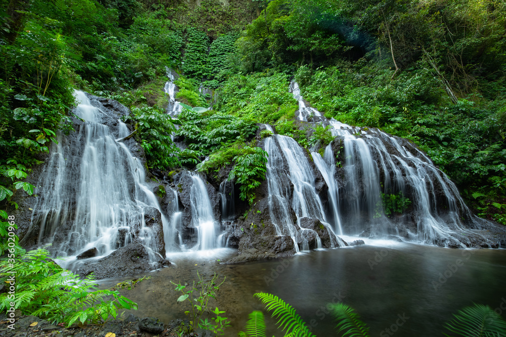 Waterfall landscape. Beautiful hidden waterfall in tropical rainforest. Nature background. Slow shutter speed, motion photography. Pucak Manik waterfall, Bali, Indonesia Waterfall landscape. Beautiful hidden waterfall in tropical rainforest. Nature background. Slow shutter speed, motion photography. Pucak Manik waterfall, Bali, Indonesia