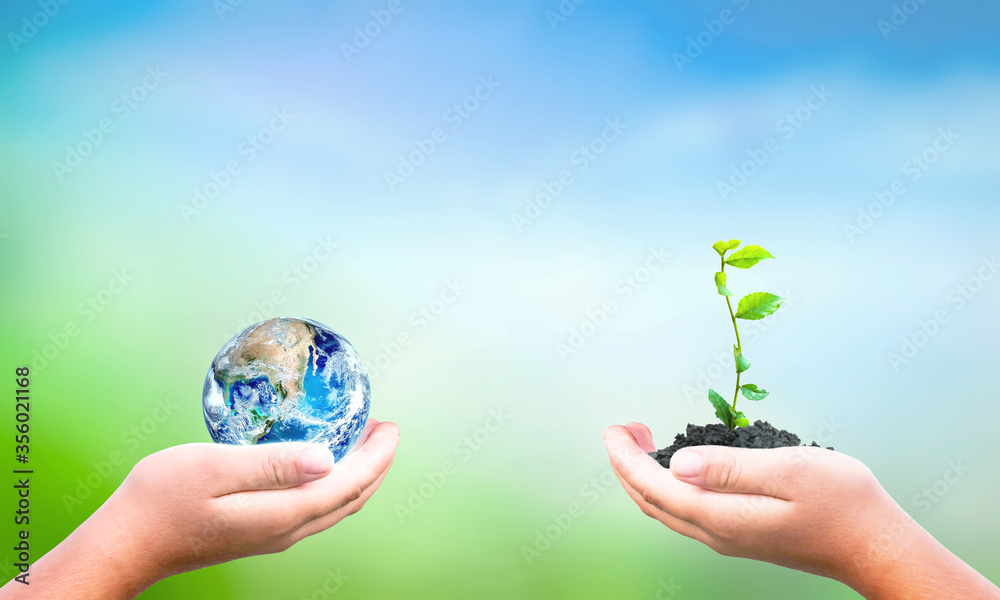 World Environment Day concept: hand holding tree planting and  earth on  green nature background, this image furnished by NASA