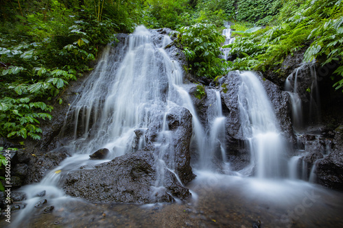 Fototapeta Naklejka Na Ścianę i Meble -  Waterfall landscape. Beautiful hidden waterfall in tropical rainforest. Nature background. Slow shutter speed, motion photography. Pucak Manik waterfall, Bali, Indonesia