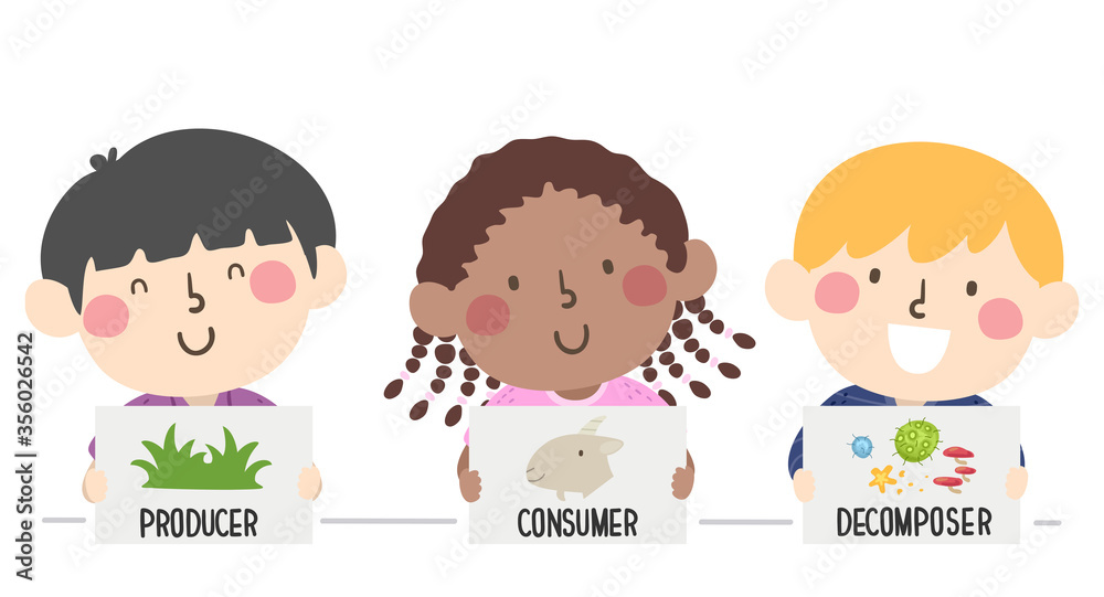 Kids Producer Consumer Decomposer Illustration Kids Producer Consumer Decomposer Illustration