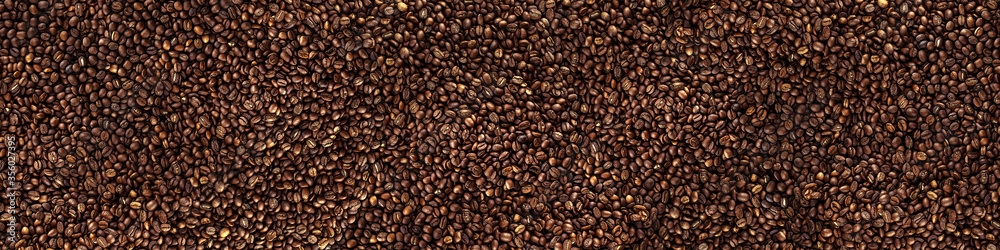 Roasted coffee beans. Panoramic background