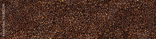 Roasted coffee beans. Panoramic background