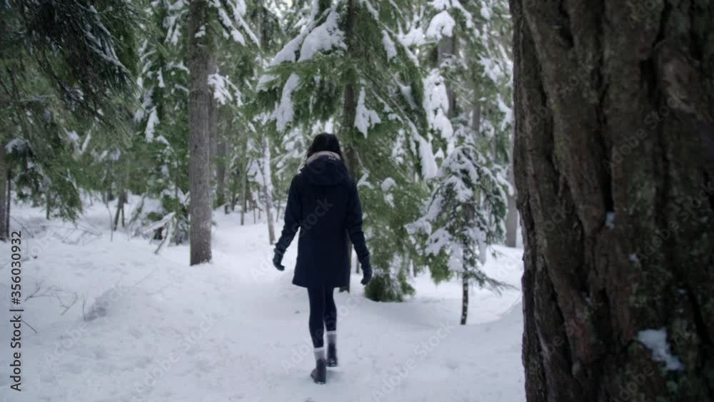 Female hiker walks through winter forest in the snow, rear view, British Columbia Female hiker walks through winter forest in the snow, rear view, British Columbia