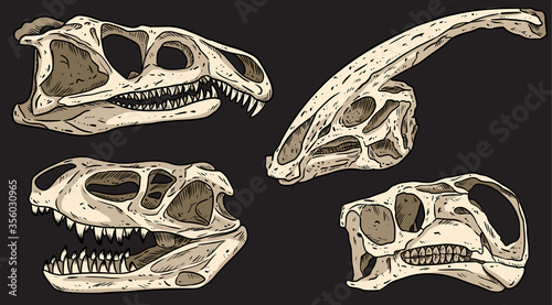 Dinosaurs on a black board hand drawn skulls colorful doodles set. Carnivorous and herbivorous fossils collection of images. Vector stock illustration