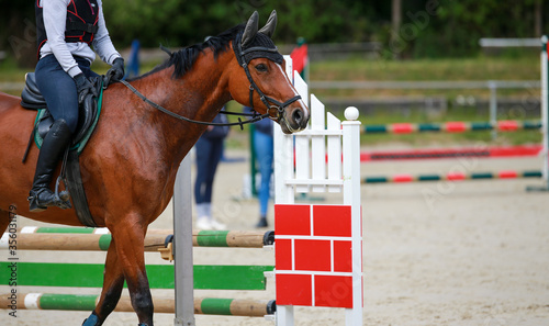 Show jumper (horse) with rider looks attentively from left to right, jumping obstacles in the background..