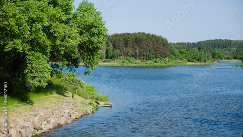 view of a wide river in a green forest. summer time