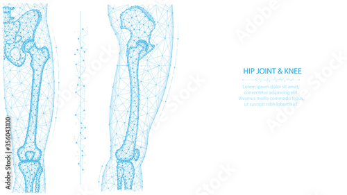 Hip joint and knee front and side view polygonal vector illustration. Leg and pelvis anatomy concept. Medical abstract low poly design on a white background