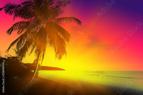 Fototapeta Naklejka Na Ścianę i Meble -  Sunset on tropical beach with palms