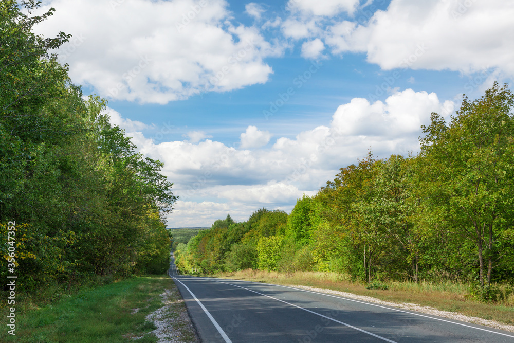 Road through the forest