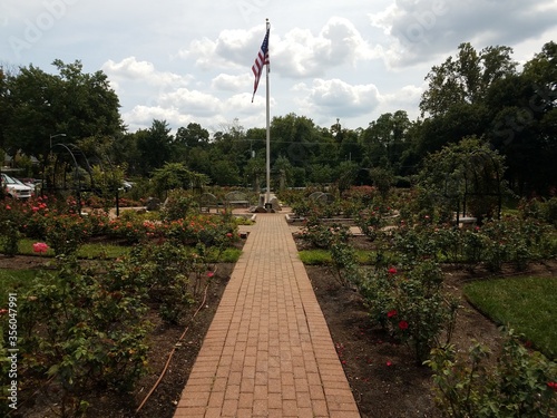 rose garden with flag of the United States of America