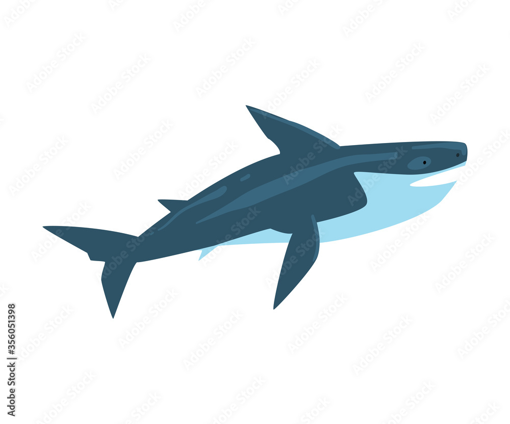 Fototapeta premium Killer Whale, Marine Life Element, Sea or Ocean Creature Vector Illustration
