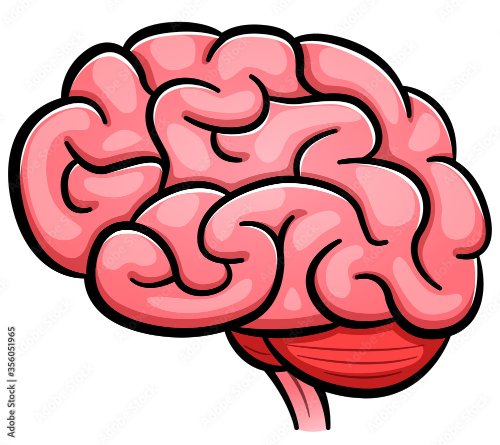 Vector human brain cartoon isolated Stock Vector | Adobe Stock