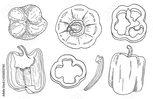 Bell pepper outline vector set. Hand drawn contour vegetables isolated on white background. Whole capsicum, halved pepper and slice. Tasty ingredients, topping. Vegetarian food doodle sketch drawing.