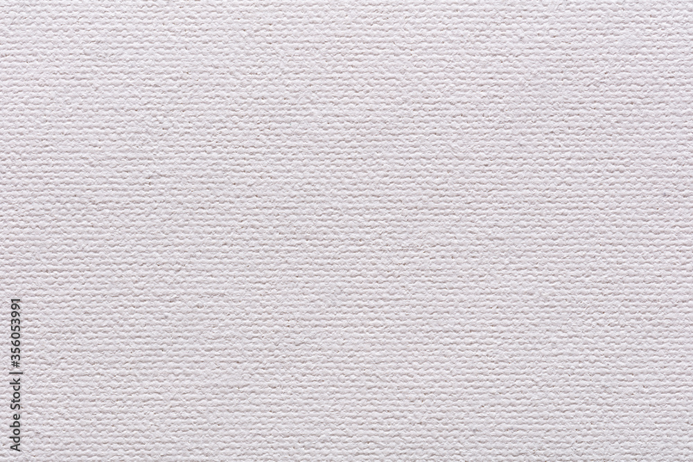 White coton canvas background for classic design look. White coton canvas background for classic design look.