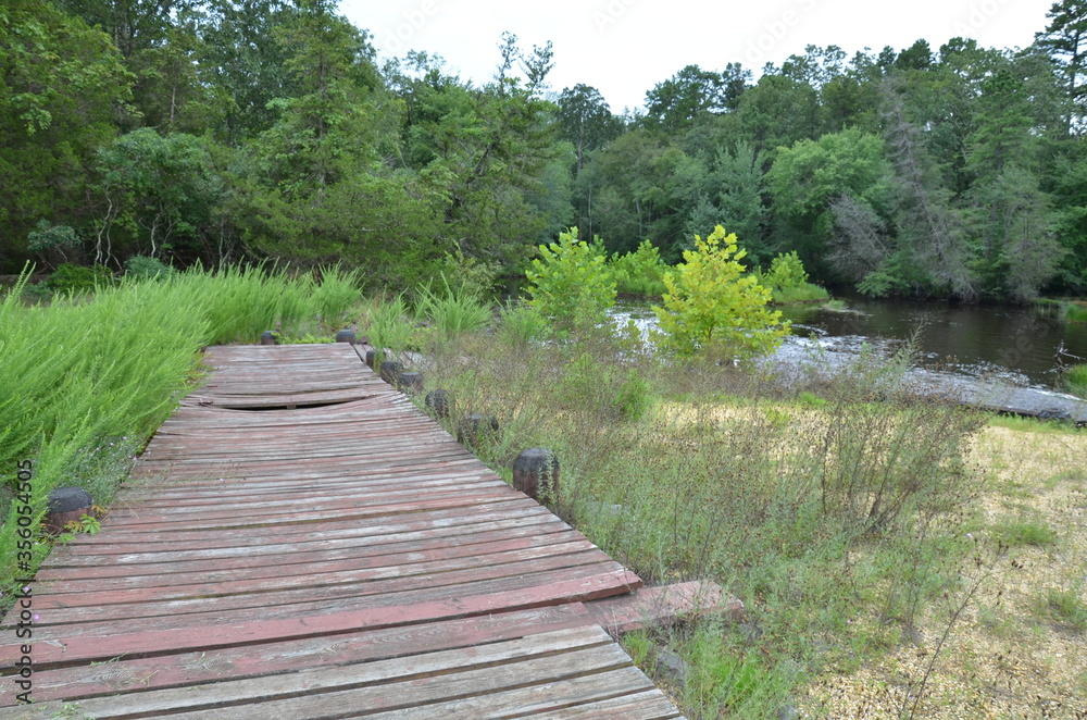 red wood platform or deck by river with trees