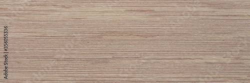 Stylish new light veneer background for your awesome design. Natural wood texture  pattern of a long veneer sheet.
