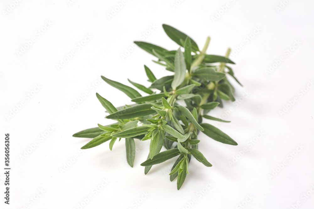 Fresh rosemary isolated on white background. Aromate herb. Fresh rosemary isolated on white background. Aromate herb.
