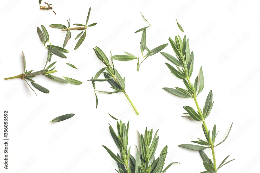 Fototapeta premium Fresh green rosemary isolated on white, top view. Aromatic herb.