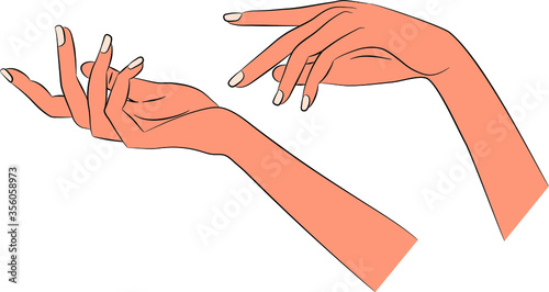 Female hands: right and left. Concept: tenderness, advertising means, give, tenderness, velvet, skin, nails, smoothly, flexibly, gracefully. Vector illustration, eps 10.