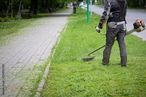Worker in protective clothing and gloves with a lawn mower on the lawn next to the walking path. A man mows grass with dandelions in the city next to the roadway.