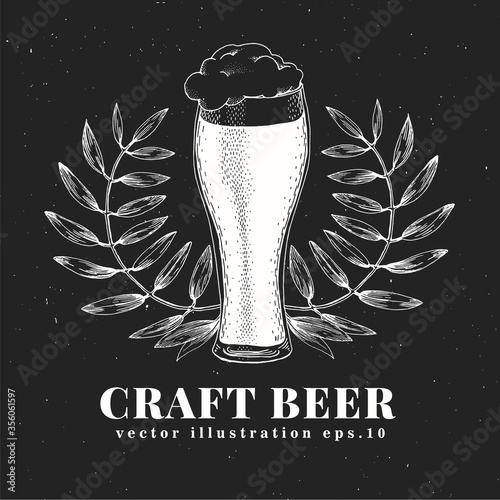 Vector beer design template. Hand drawn illustrations on chalk board. Vintage beer background