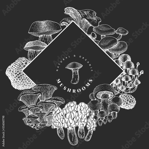 Hand drawn mushroom design template. Vector illustrations on chalk board. Vintage background