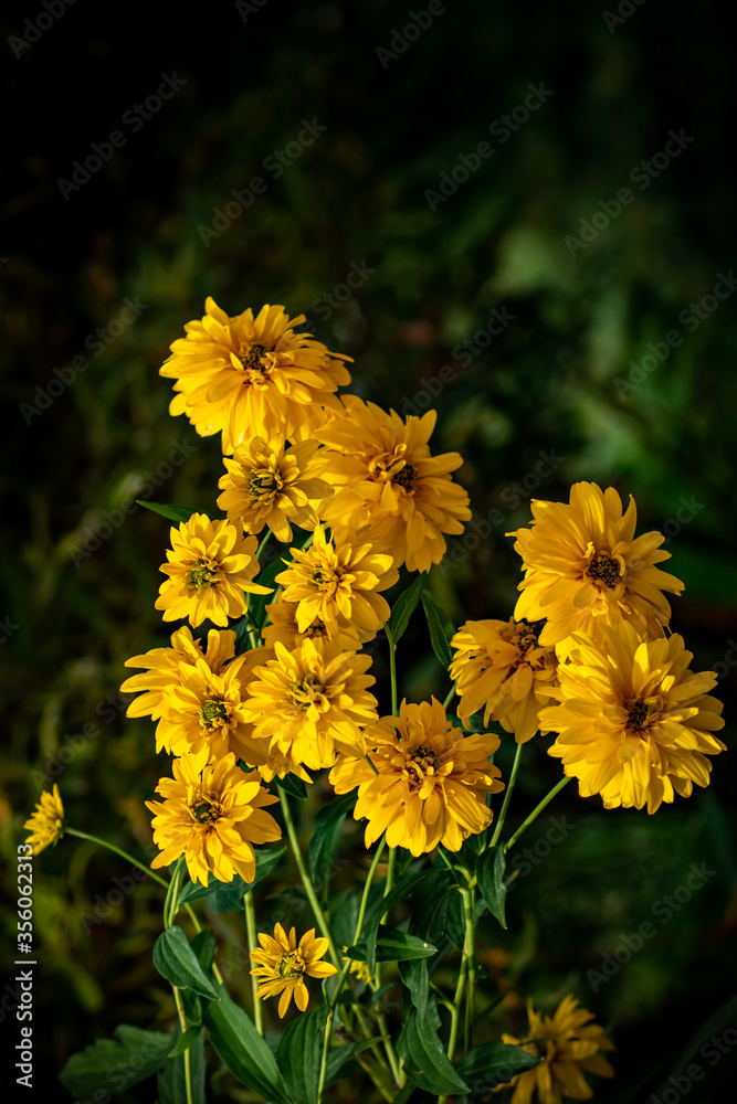 yellow flowers on a green background yellow flowers on a green background