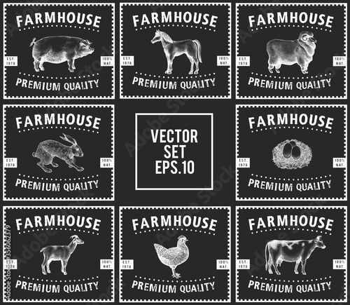 Labels with farm animals. Vintage set templates price tags for shops and markets. Vector illustrations on chalk board.
