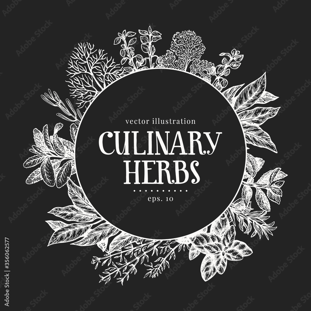 Hand drawn culinary herbs design template. Vector illustrations on chalk board. Vintage food background