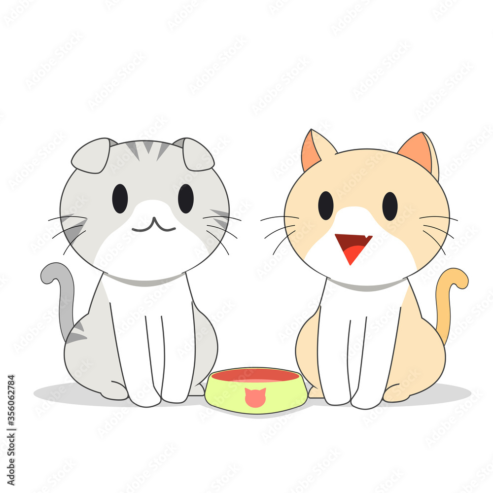 two kittens talking to each other