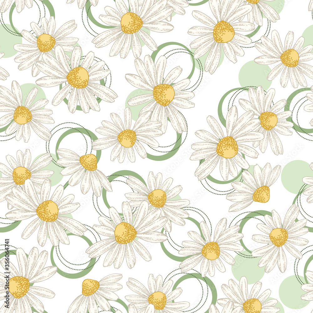 Daisy flowers seamless pattern. Hand drawn chamomile. Vector illustration. Summer design for textile or paper.