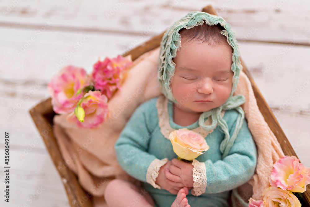 Newborn girl, baby boy sleeping in a basket with pink garden flowers. Newborn girl, baby boy sleeping in a basket with pink garden flowers.